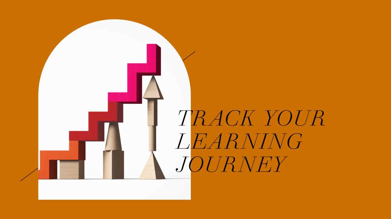How to Track Your Progress During a Data Learning Journey?